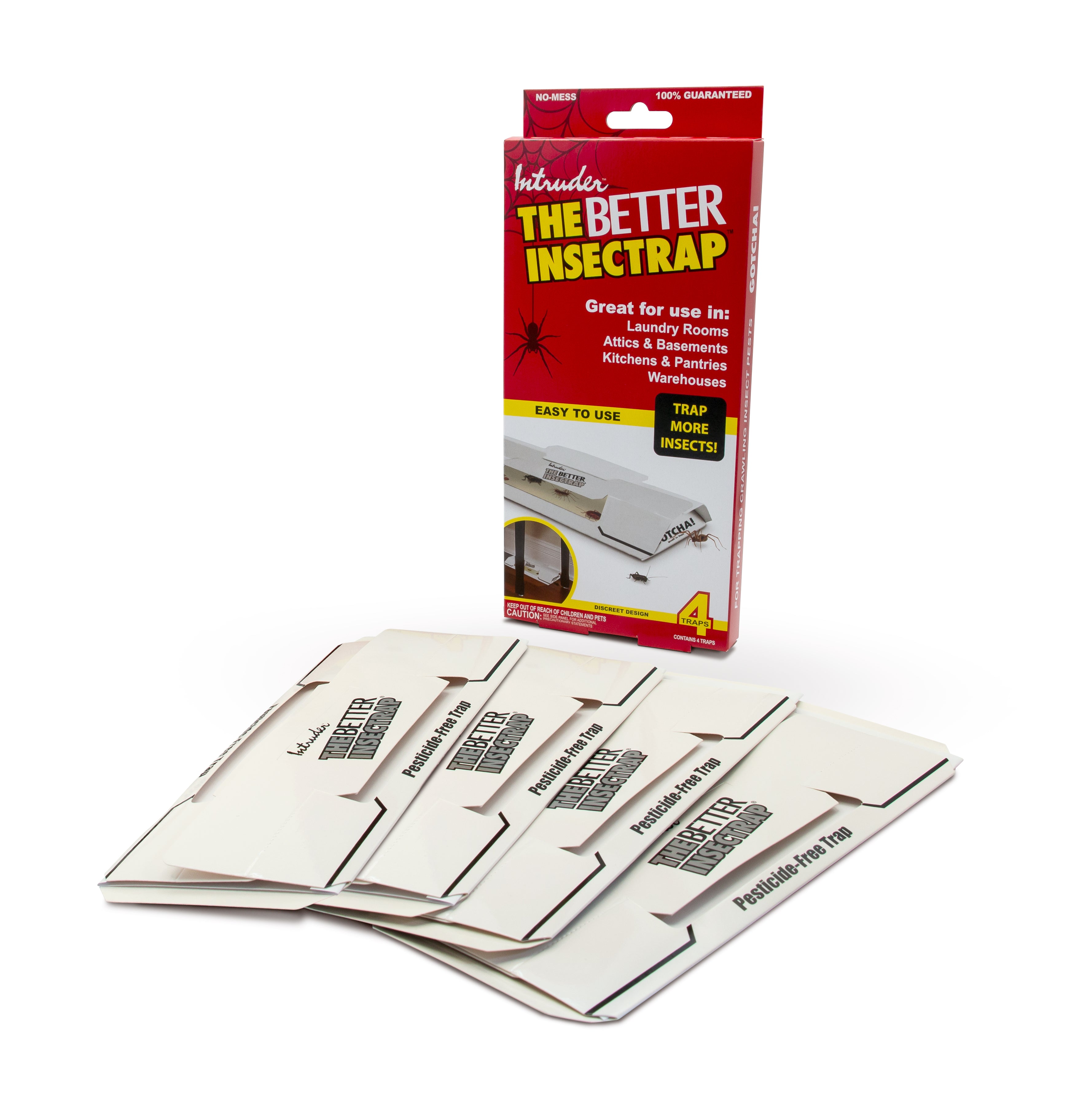 Better Pest Control Solutions | Intruder