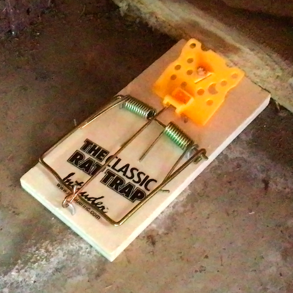 The Classic Mouse & Rat Trap - Traditional Wood Traps