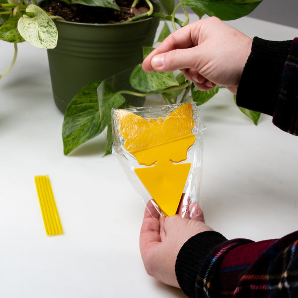 The Better Bugtrap™ for Plants