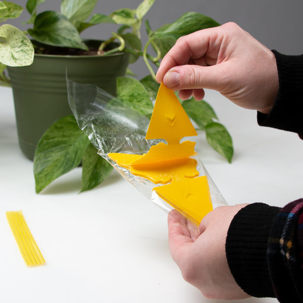 The Better Bugtrap™ for Plants