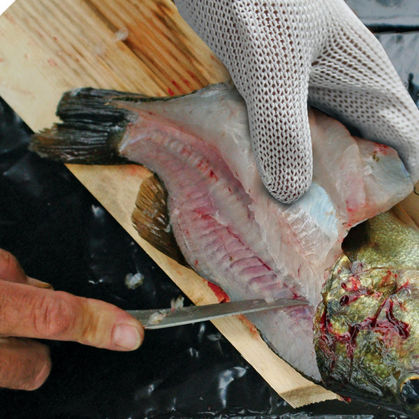 Fillet Gloves