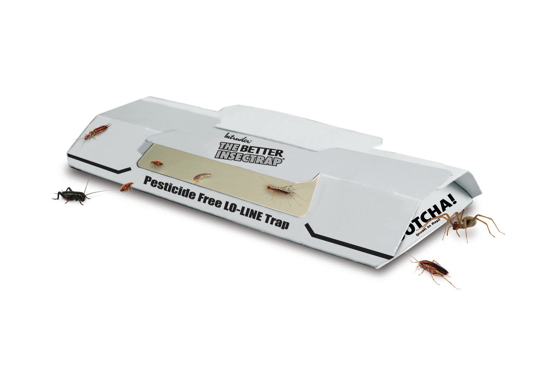 Intruder The Better Glue Trap Cold Temperature Rat Trap - 17515