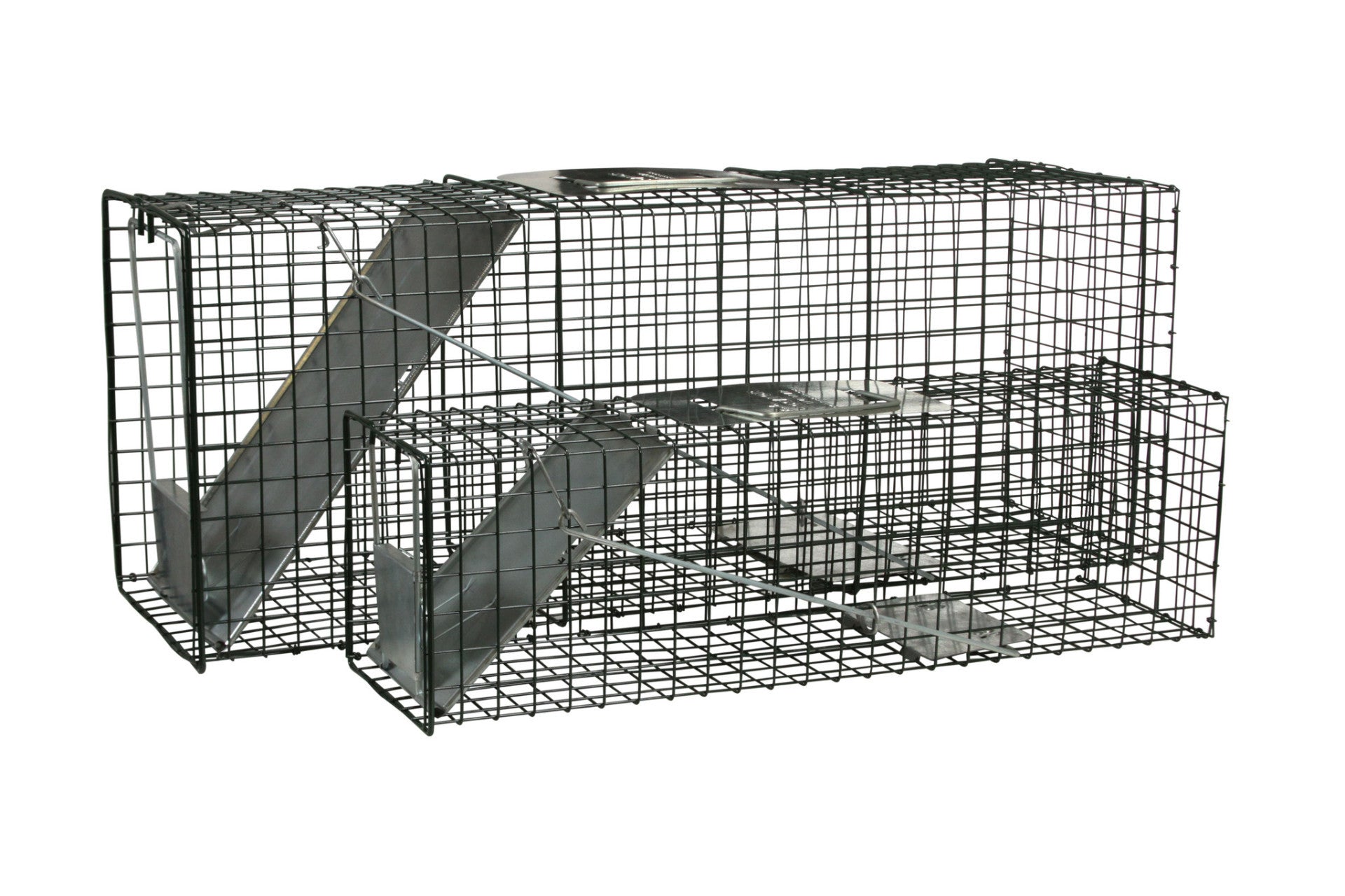 Mousetrap Spring The Better Mousetrap™ | Intruder