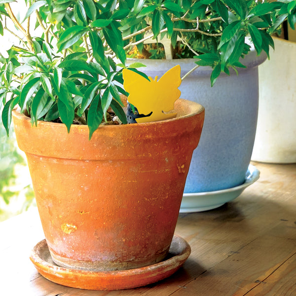 The Better Bugtrap™ for Plants