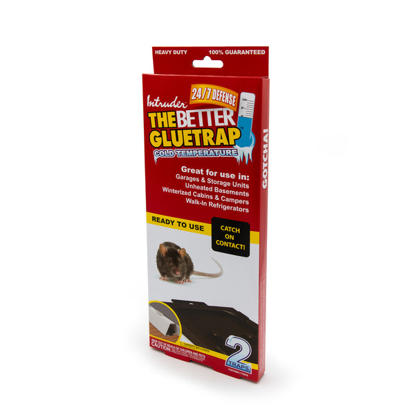 How Effective Are Glue Traps for Prosper Mice Anyway - Stampede Pest Control