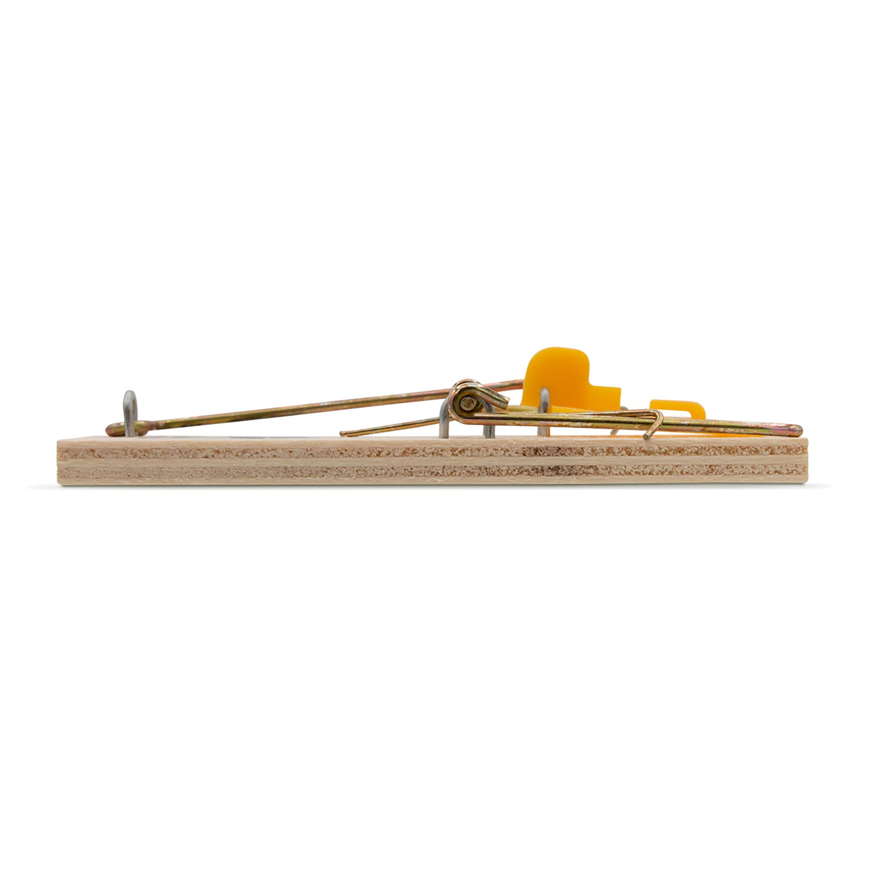 Classic mouse trap discount