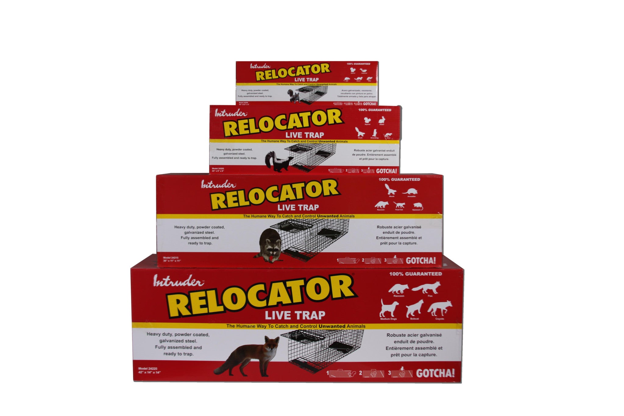 Intruder 30442 The Better Mousetrap, 6-Pack