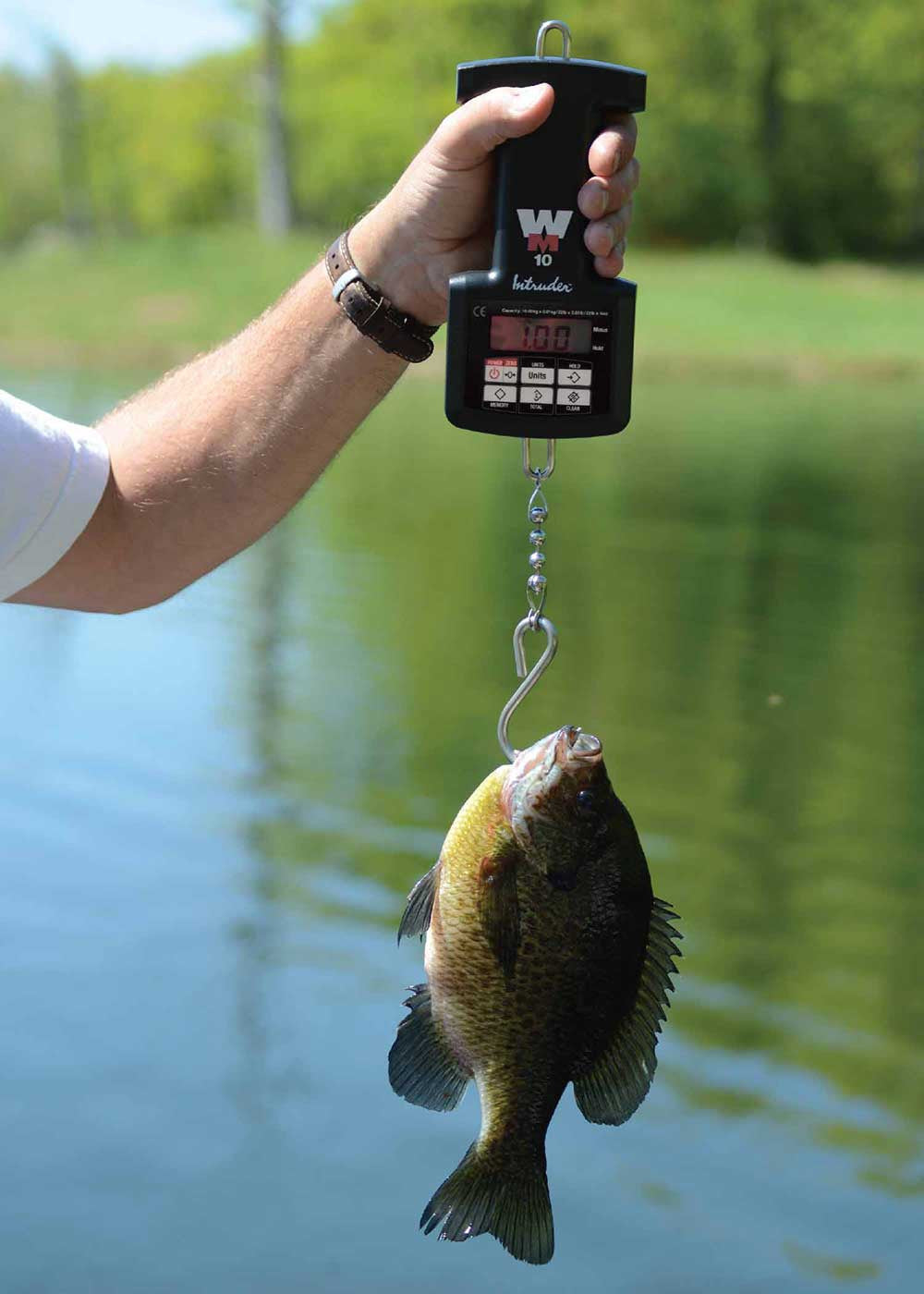 Hands-On Sporting Goods | Intruder