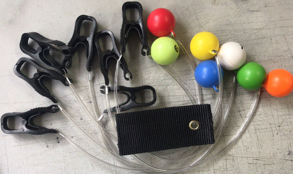 Fish ID - Cull System